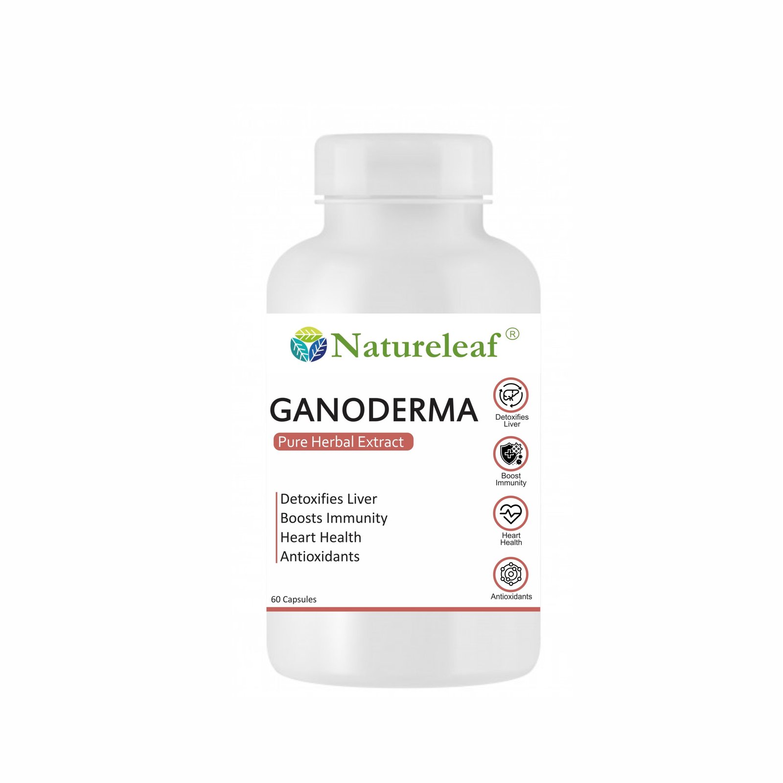 Ganoderma