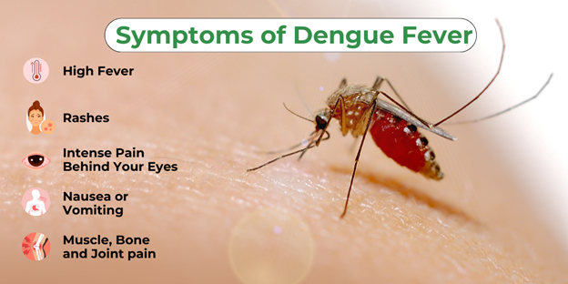 Best Natural Medicine for dengue 3