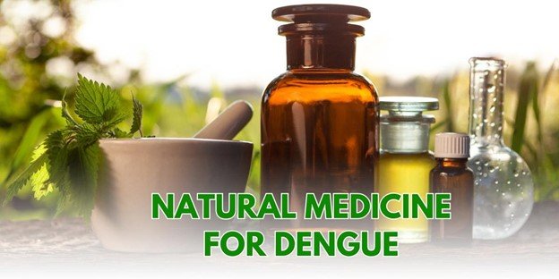 Best Natural Medicine for dengue 3