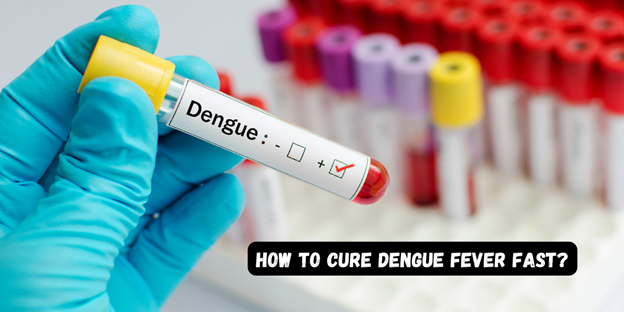 How To Cure Dengue Fever Fast?