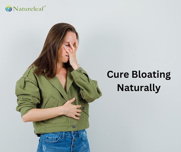 How to Cure Bloating Naturally A Comprehensive Guide