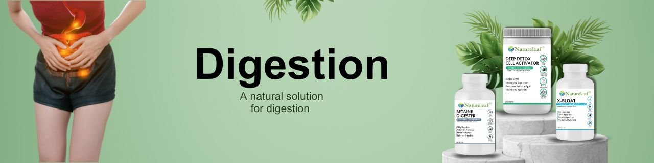 Digestion banner