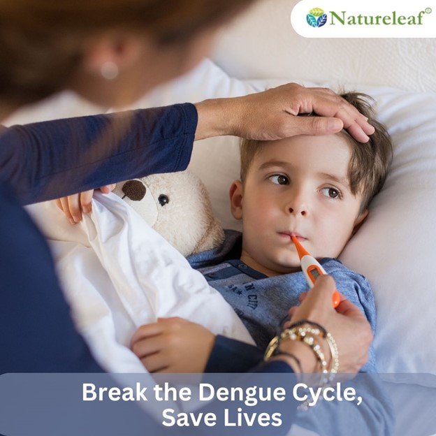 What are the major symptoms of dengue fever?