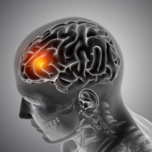 Brain Health & Memory