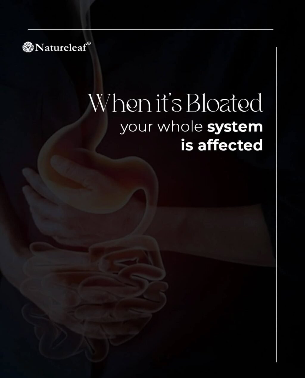 Instagram post from officialnatureleaf. This post is in position 2.