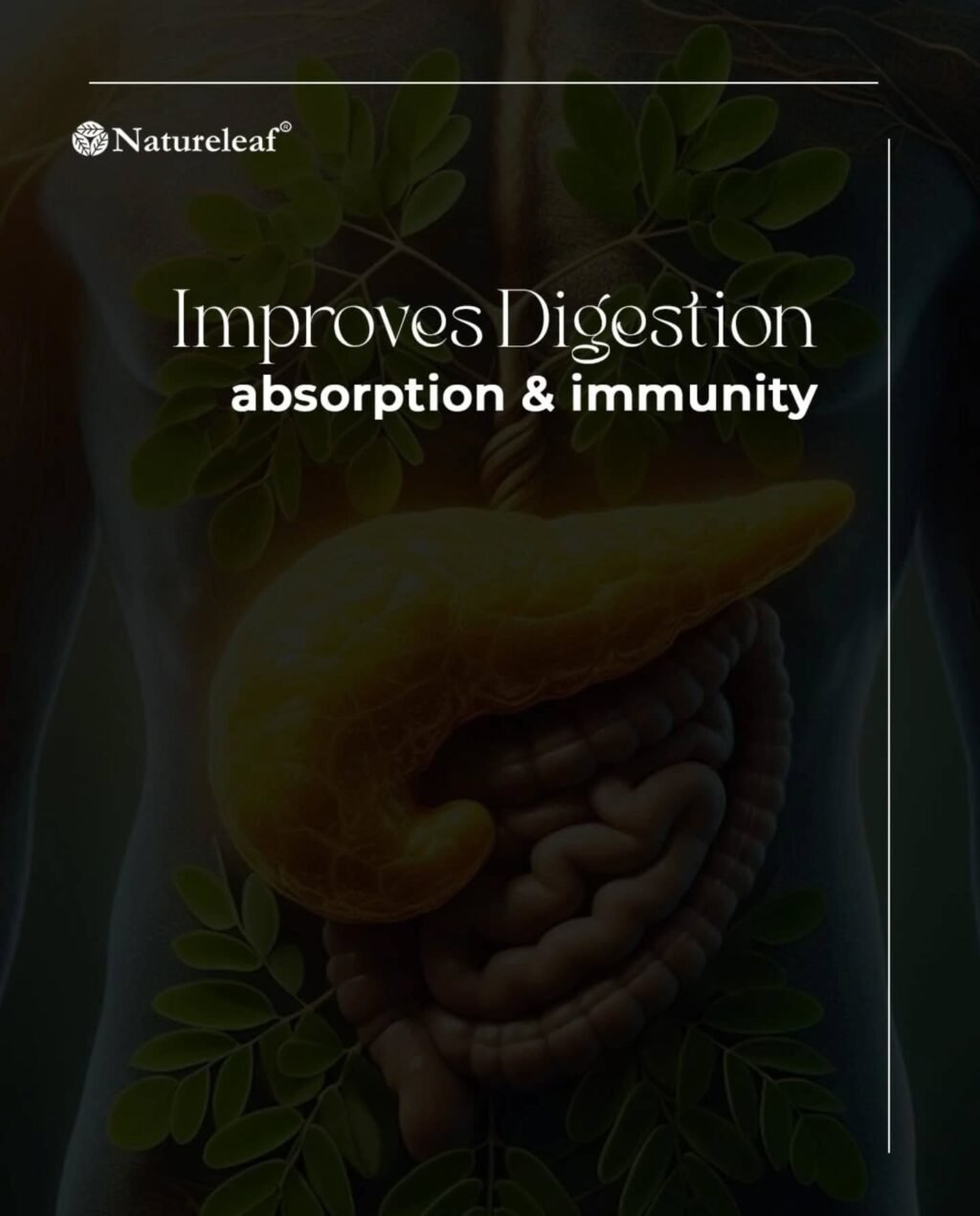 Instagram post from officialnatureleaf. This post is in position 4.