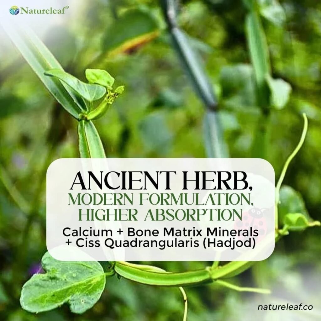 Instagram post from officialnatureleaf. This post is in position 1.
